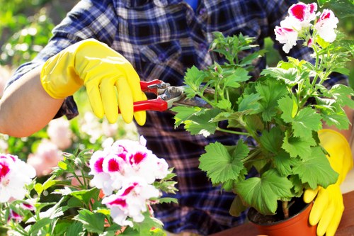 Illustration of record keeping in a gardening complaints procedure