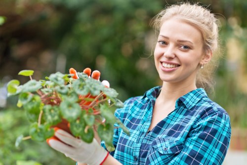 Illustration representing accessible gardening services in Southborough