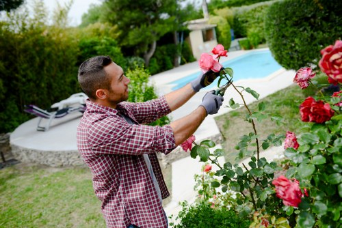 Healthy lawn care in a Southborough residential garden