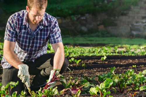 Gardener assessing a Southborough garden for a transparent quote