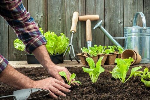 Landscape gardening in Southborough with planted borders and lawn