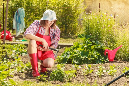 Southborough gardening services enhancing a beautiful backyard