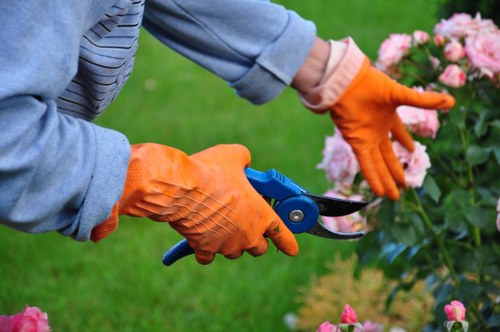 Image representing supplier audit and due diligence checks