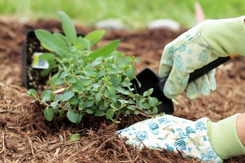 Soft landscaping in Southborough with shrubs and seasonal flowers