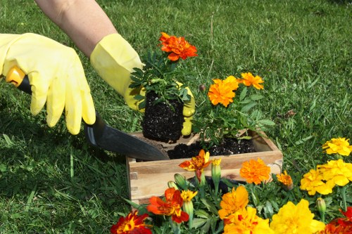 Drainage and soil improvement in a Southborough landscape project