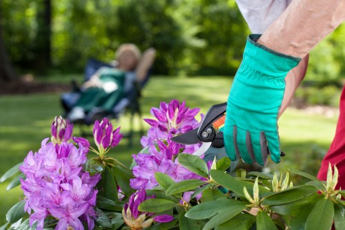 Image illustrating zero-tolerance modern slavery policy in gardening services