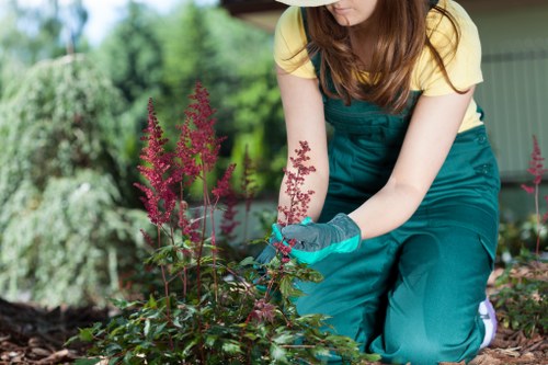 Regular lawn mowing in a Southborough garden