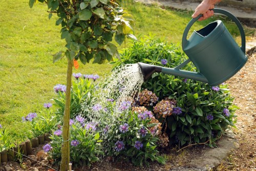 Image showing annual review and continuous improvement in Southborough gardening