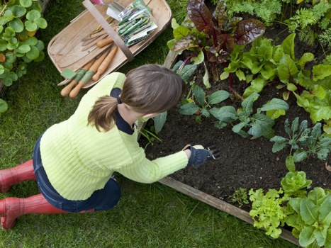 Professional garden care in Southborough for low-maintenance spaces