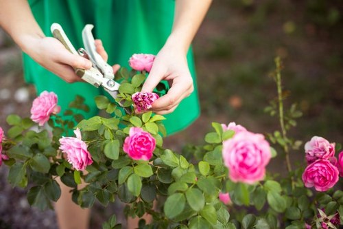Risk-aware gardening service in Southborough with careful site planning