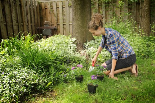 Professional Southborough gardening maintenance with lawn and hedge care