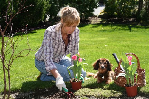 Seasonal garden maintenance in Southborough with tidy outdoor space