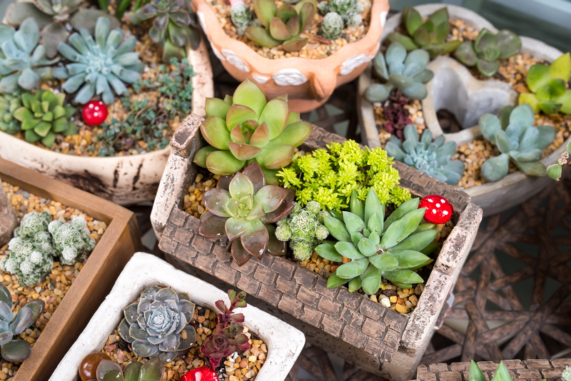 garden Yard