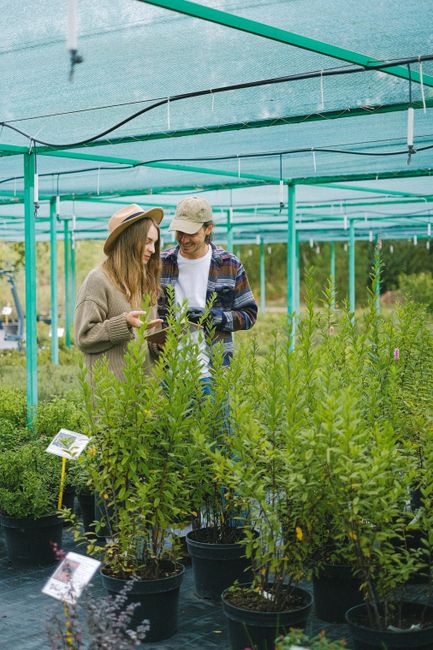 Two people exploring a plant nursery within a greenhouses structure supported by turquoise metal framing and covered with a translucent shade net. The individuals, a woman wearing a wide-brimmed hat a