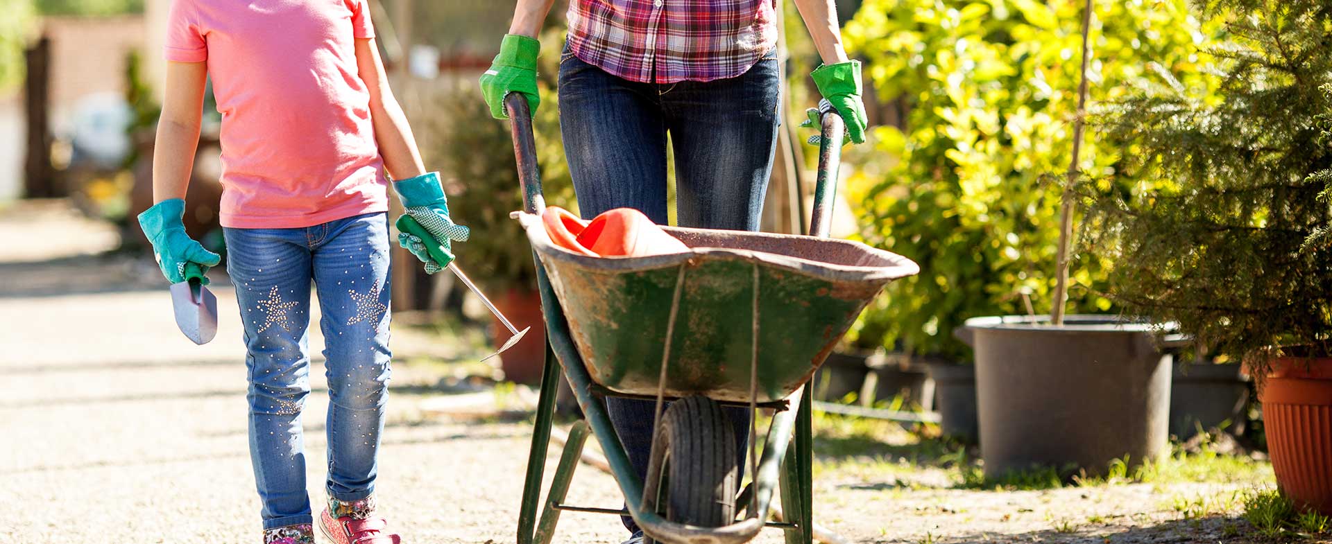 Gardeners Southborough